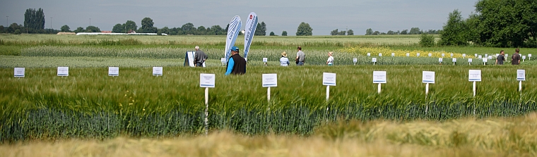 II. POLNÍ DEN ROSTĚNICE 2019