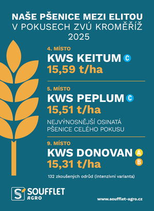 Snímek obrazovky 2026-08-11 090433.png