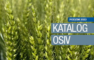 NOVÝ KATALOG OSIV | PODZIM 2023