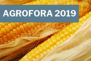 AGROFORA 2019 – POLNÍ DNY KUKUŘICE