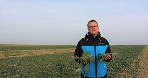 Zkušenosti s hybridem řepky Addition s Ing. Davidem Bečkou, Ph.D.