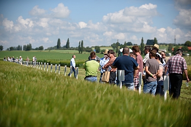 Zveme Vás na XIII. Velký polní den SOUFFLET AGRO 2017