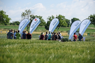 Velký polní den ve Všestarech u Hradce Králové 2017 ohromil