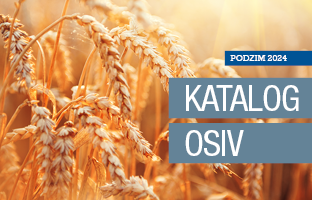 NOVÝ KATALOG OSIV | PODZIM 2024