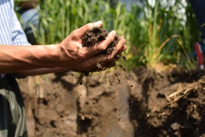 Druhé setkání na SOILTEQ demo farmě SOUFFLET AGRO